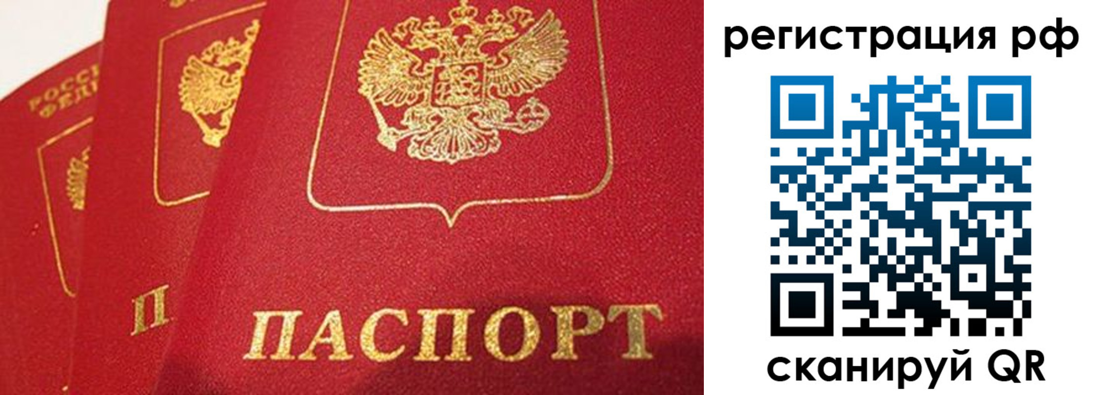 прописка поиск в Пушкино